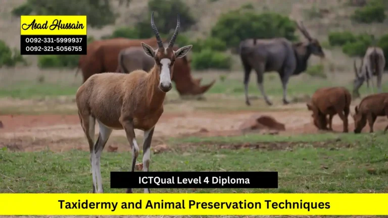 ICTQual Level 4 Diploma in Taxidermy and Animal Preservation Techniques