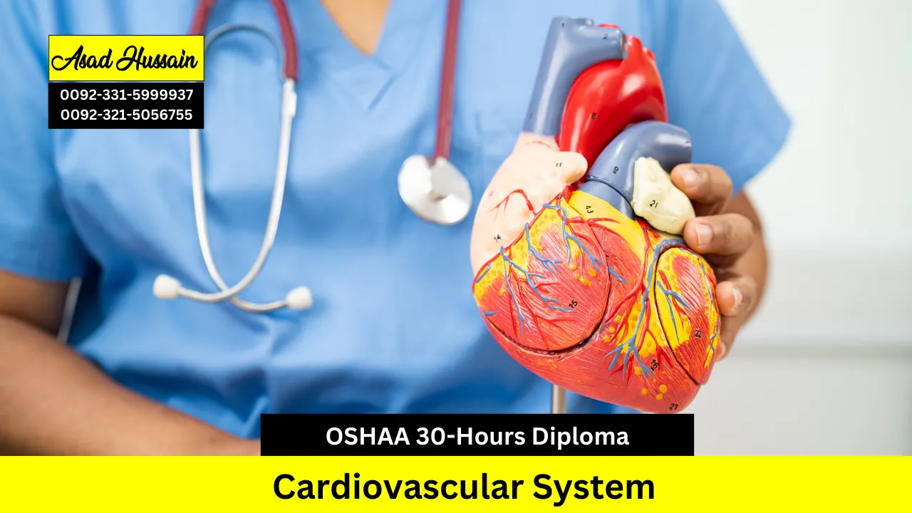 OSHAA 30-Hours Professional Diploma in Cardiovascular System