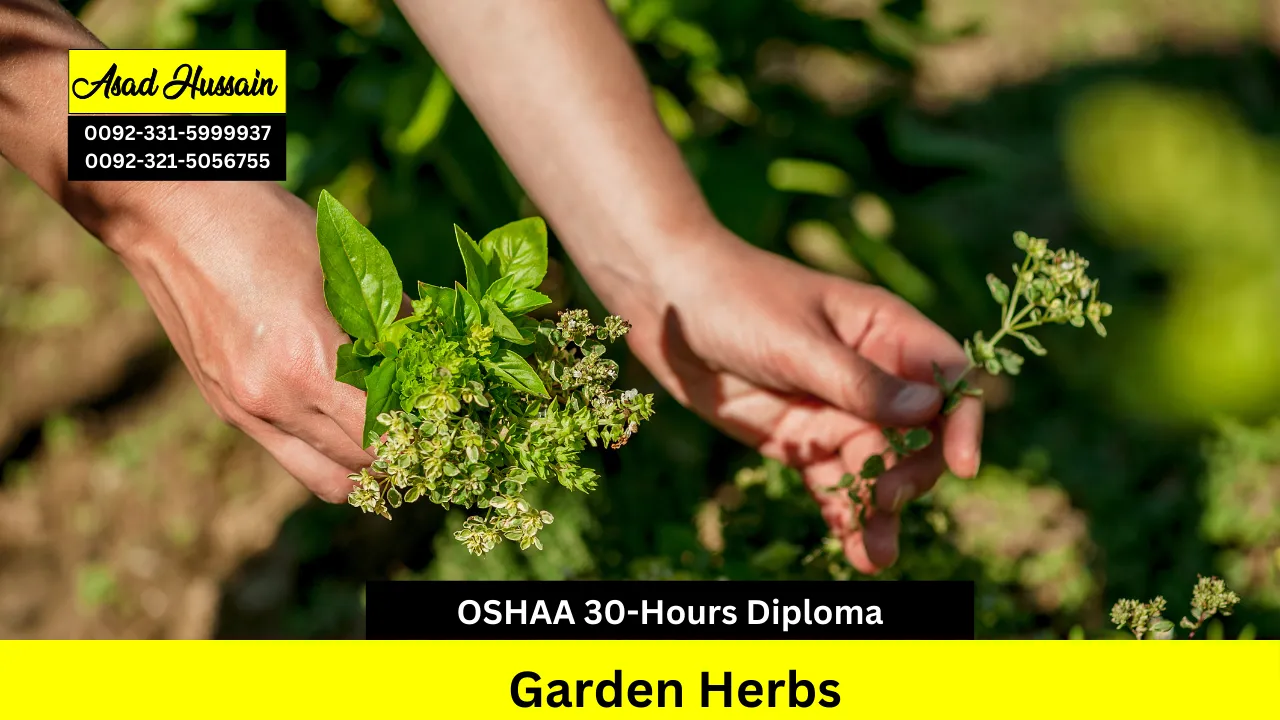 OSHAA 30-Hours Professional Diploma in Garden Herbs