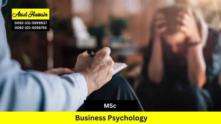 MSc Business Psychology