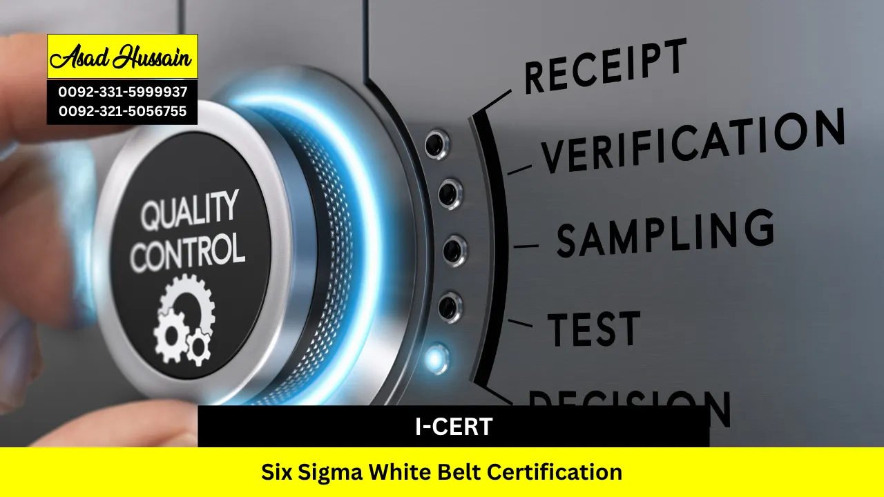 Six Sigma White Belt Certification