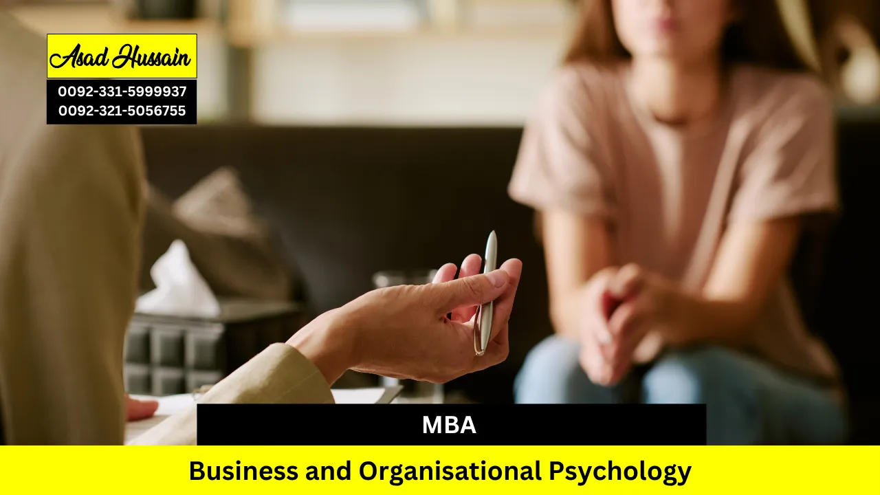 MBA in Business and Organisational Psychology